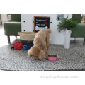 Pet Bowl Edelstahl für kleine Hunde